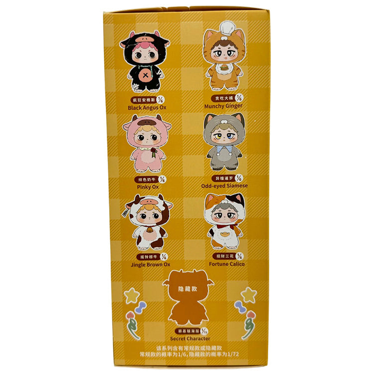 Miiloo Series 1 Blind Box Vinyl Plush characters displayed on the box, featuring unique designs and kawaii aesthetics.
