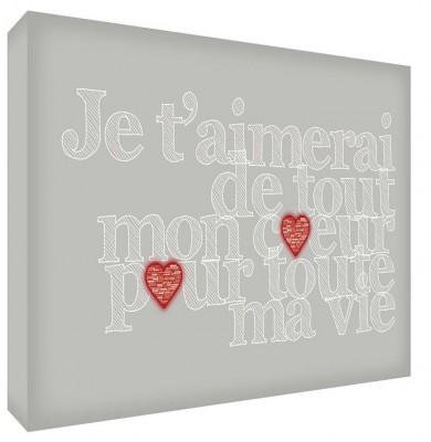 Acrylic Art - I love you with all my heart for all my life - Grey | Earthlets.com