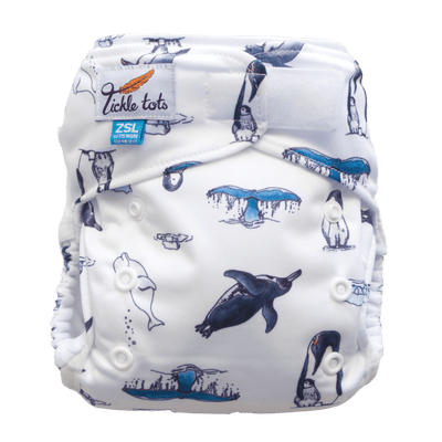 All-In-One Nappy | Earthlets.com